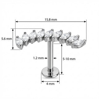 Titanium Labret Curved Marquise Crystal Vine
