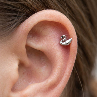 Titanium Labret Swan Zirconia Internally Threaded – getragen
