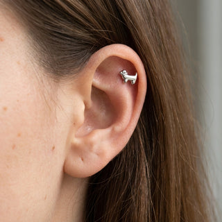 Titanium Labret Dog Internally Threaded – getragen
