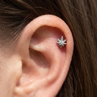 Titanium Labret Cannabis Leaf Internally Threaded