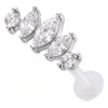 Titanium Labret Five Stone Marquise Cluster Internally Threaded